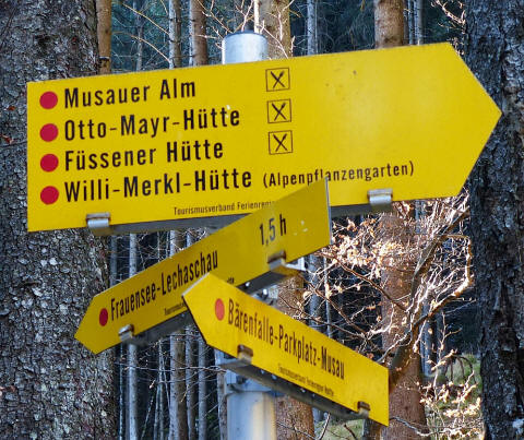 Weg zum Musauer Berg