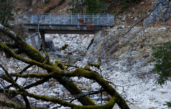 Weg zum Musauer Berg