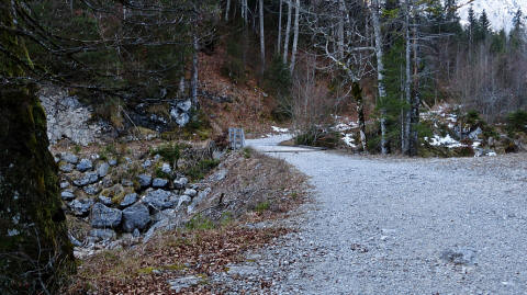 Weg zum Musauer Berg