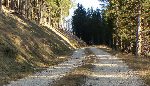 Weg zum Musauer Berg