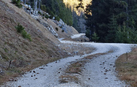 Weg zum Musauer Berg