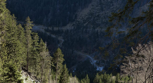 Weg zum Musauer Berg