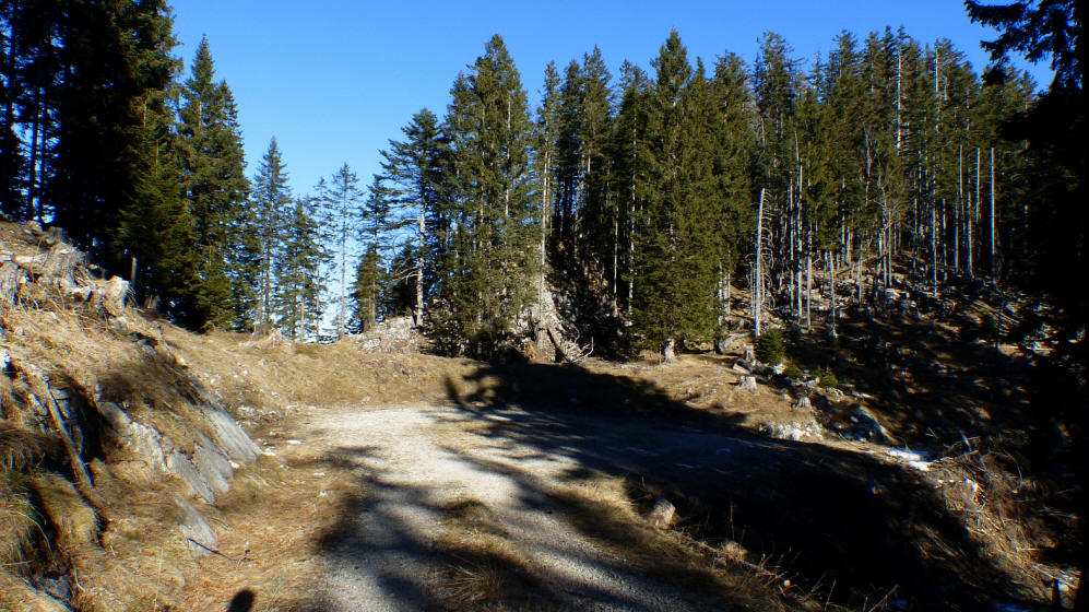 Weg zum Musauer Berg