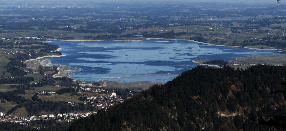 Forggensee