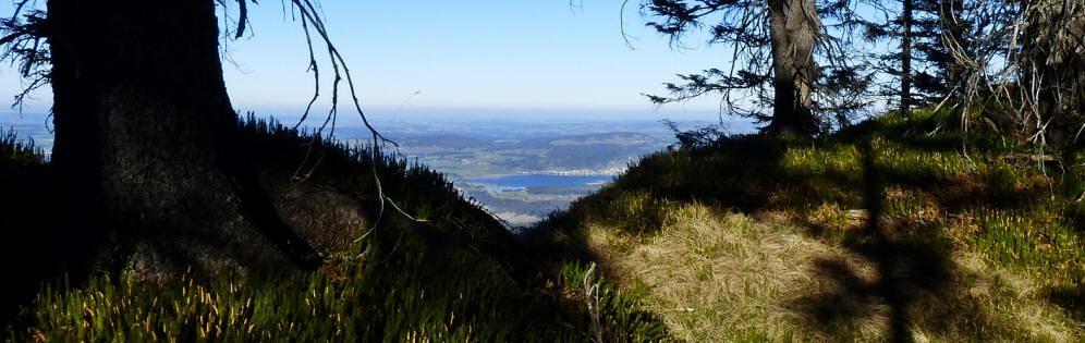 Weg zum Musauer Berg