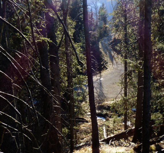 Weg zum Musauer Berg