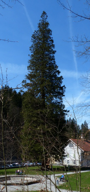 Felssturz Rappenlochschlucht