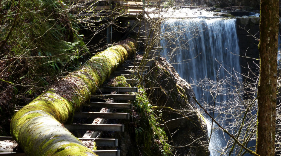 Felssturz Rappenlochschlucht