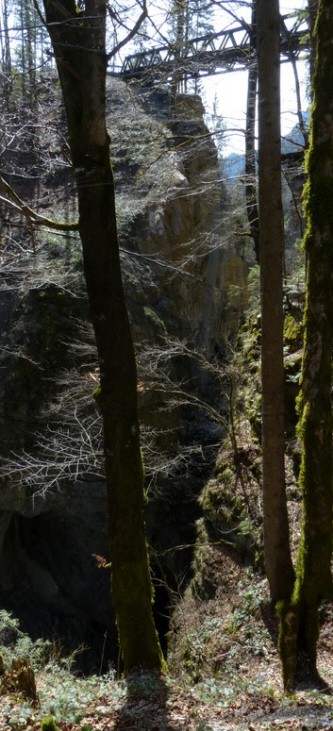 Felssturz Rappenlochschlucht