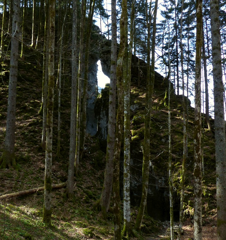 Felssturz Rappenlochschlucht