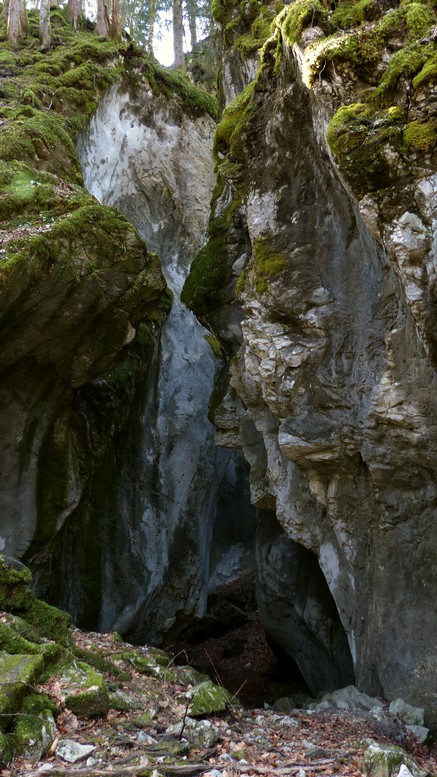 Felssturz Rappenlochschlucht