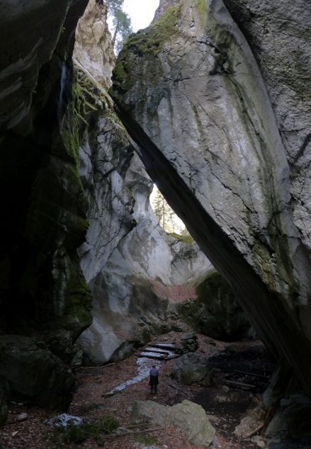 Felssturz Rappenlochschlucht