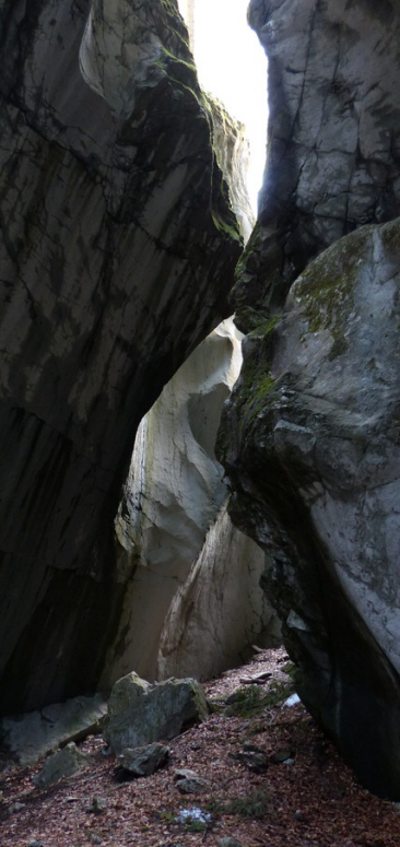 Felssturz Rappenlochschlucht