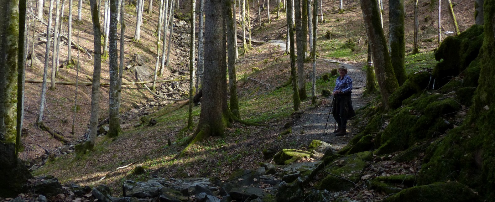 Felssturz Rappenlochschlucht