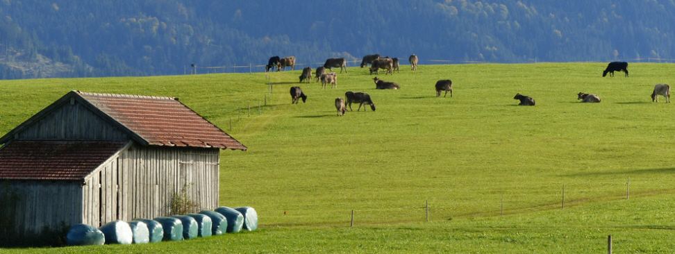 Rundwanderung Illasbergsee-Schapfsee