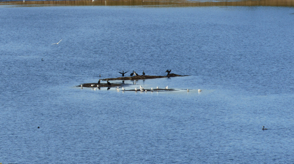 Rundwanderung Illasbergsee-Schapfsee