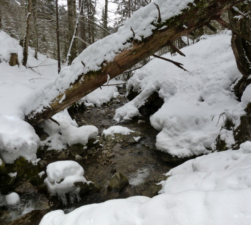 Schleierwasserfall Rehbach - Schattwald