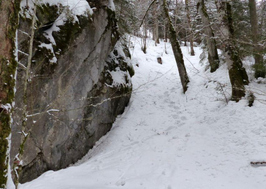 Schleierwasserfall Rehbach - Schattwald