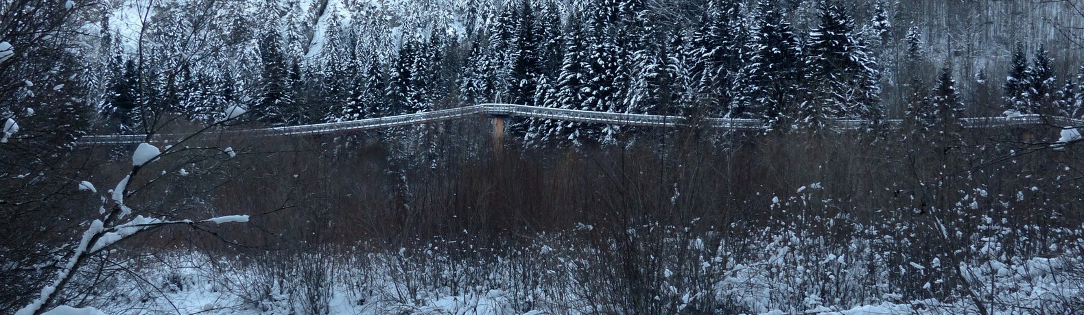 Waldwipfelpfad Walderlebniszentrum Ziegelwies