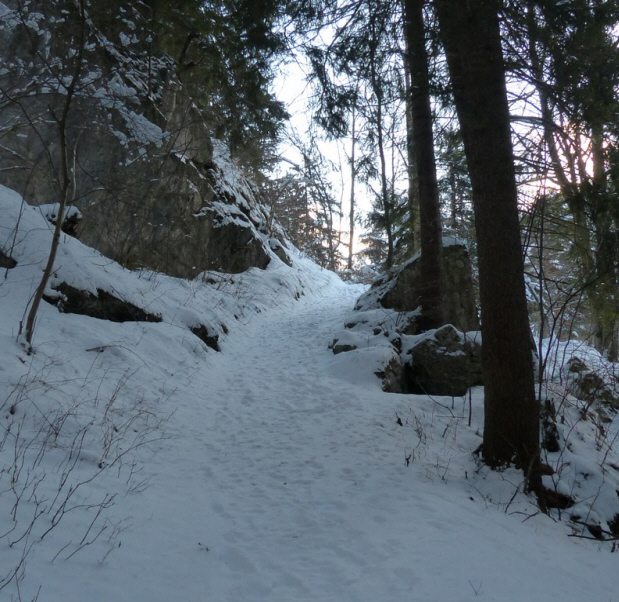 Schwärzerweg