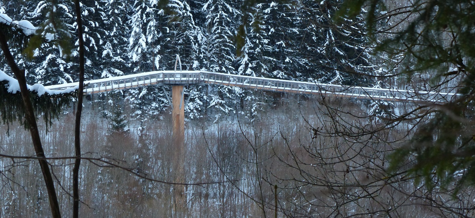 Waldwipfelpfad Walderlebniszentrum Ziegelwies