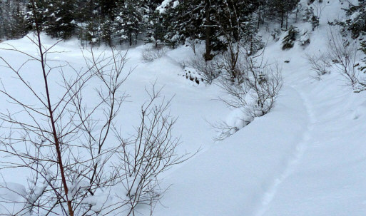 Urisee im Winter