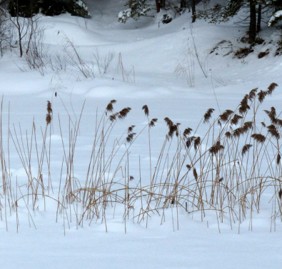 Urisee im Winter