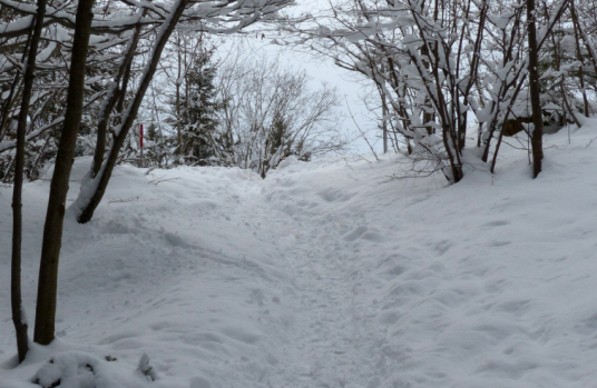 Urisee im Winter