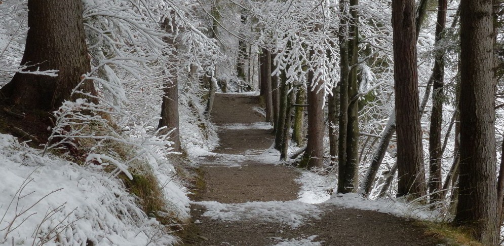 Weißensee Rundwanderung im Winter