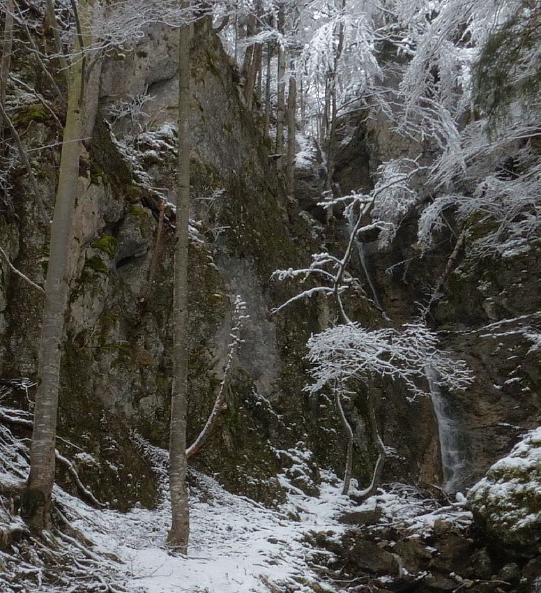 Weißensee Rundwanderung im Winter