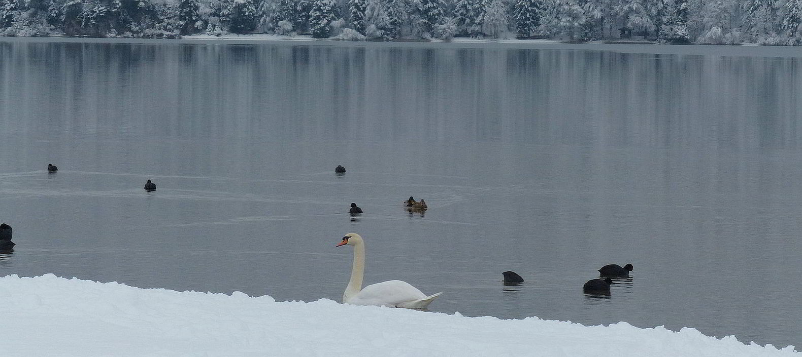 Weißensee Rundwanderung im Winter