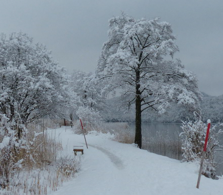 Weißensee Rundwanderung im Winter