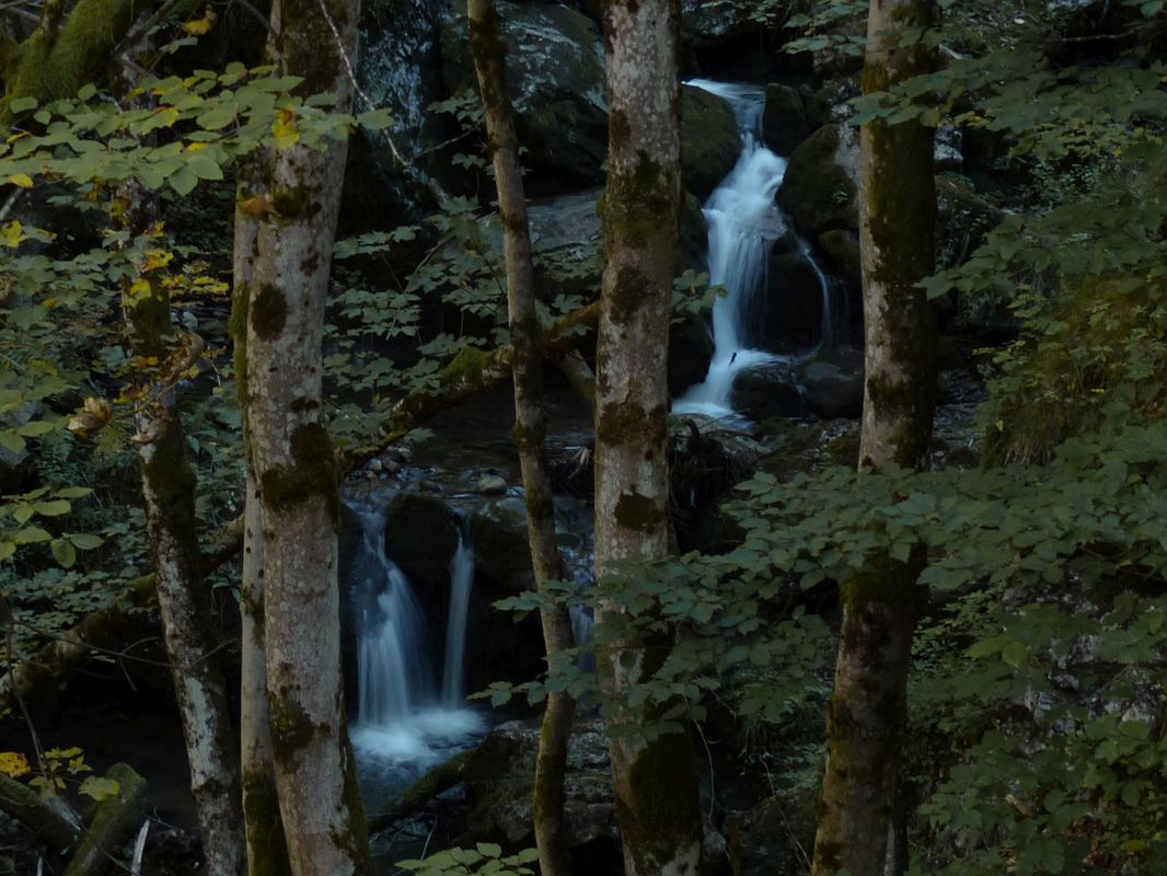 Wildbachtobel
