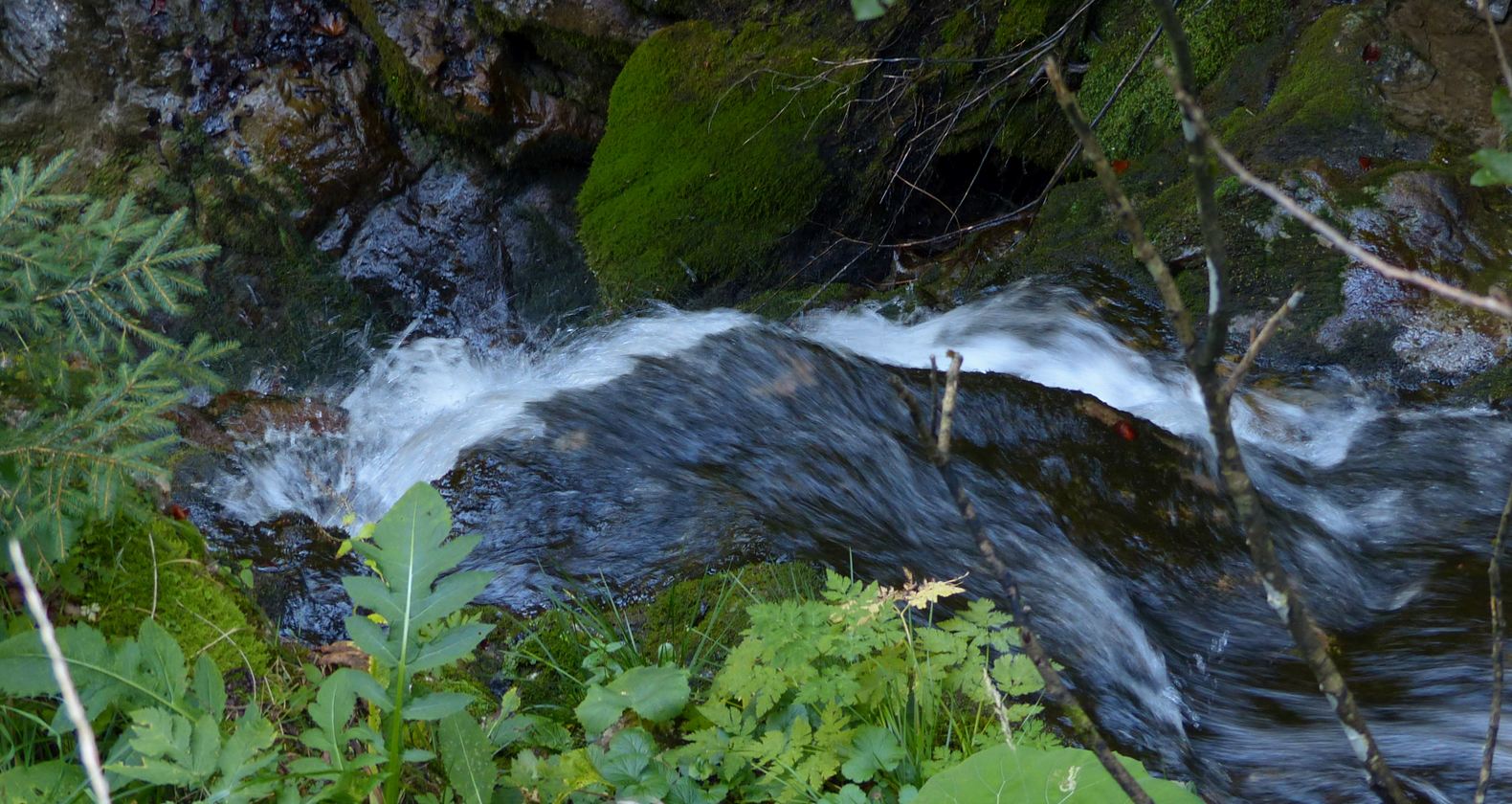 Wildbachtobel
