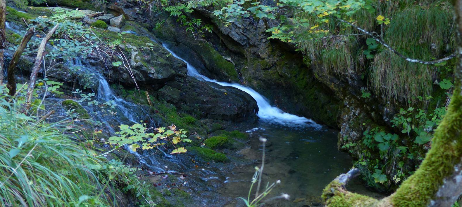 Wildbachtobel