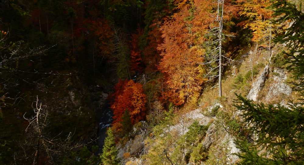 Herbst Alter Gachtpass