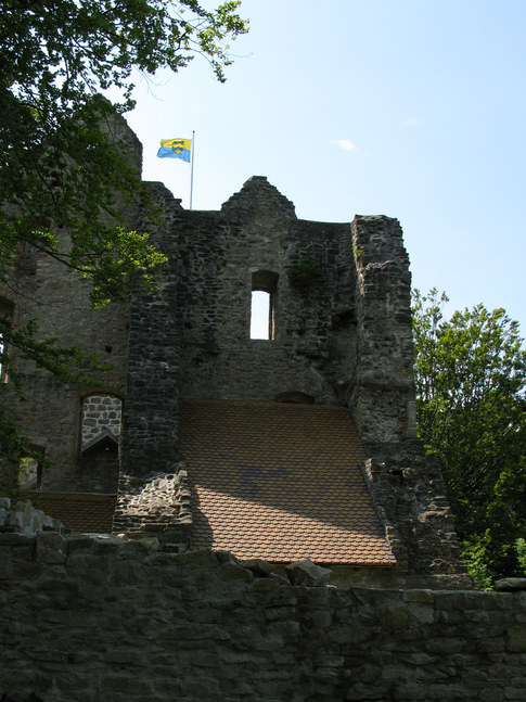 Burgruine Sulzberg