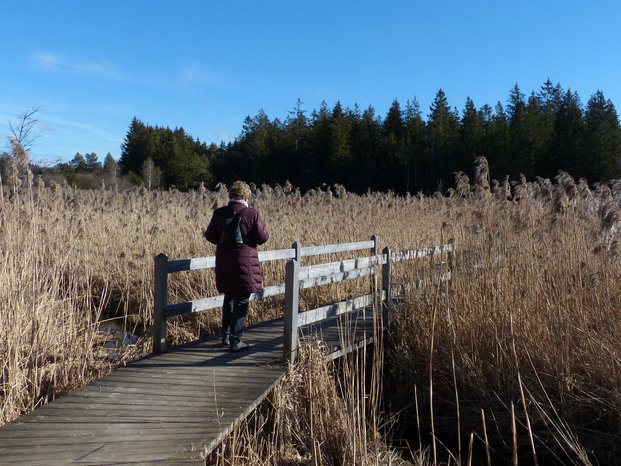 Holzbohlensteeg Elbsee Umrundung