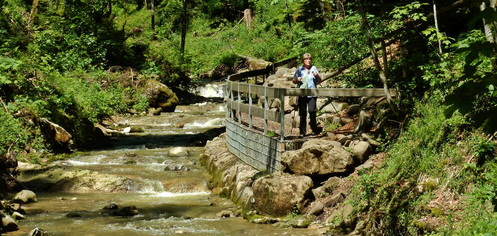 Falltobel Wasserfall Niedersonthofen