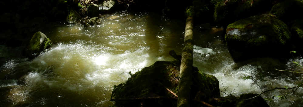 Falltobel Wasserfall Niedersonthofen