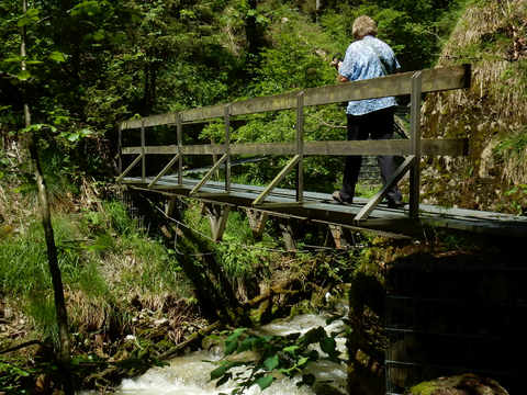 Falltobel Wasserfall Niedersonthofen