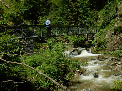 Falltobel Wasserfall Niedersonthofen