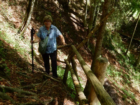 Falltobel Wasserfall Niedersonthofen