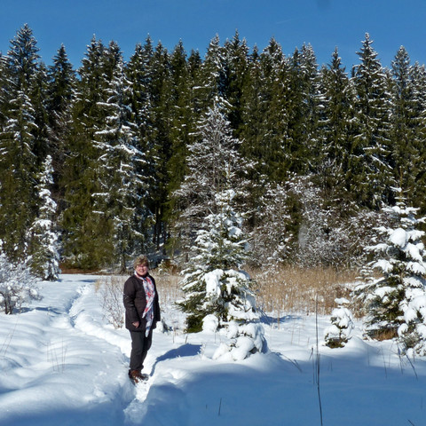 Faulensee Koppenalm