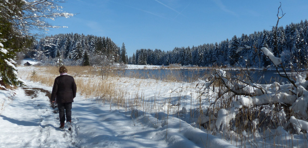 Faulensee Koppenalm