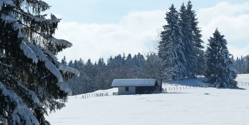 Faulensee Koppenalm