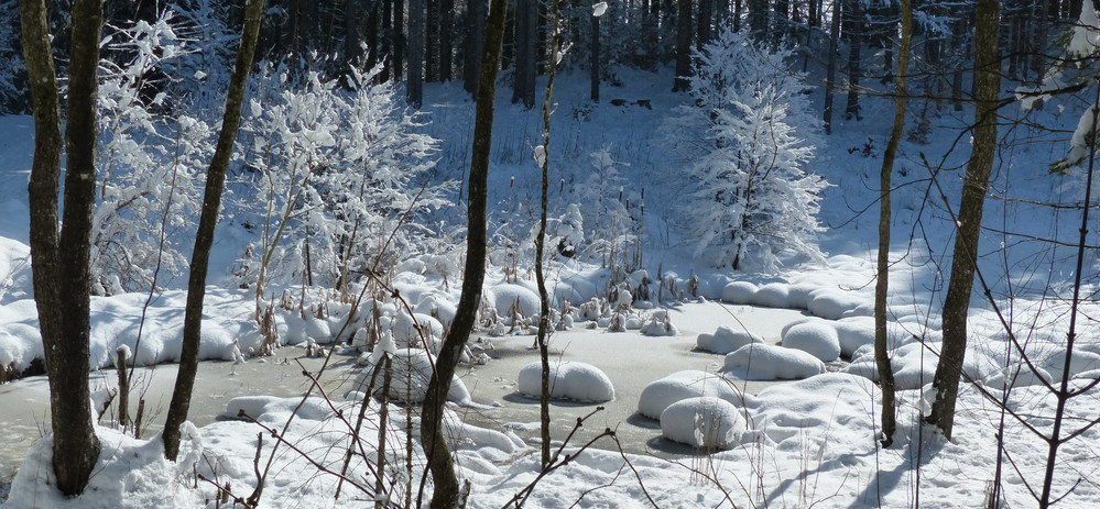 Faulensee Koppenalm