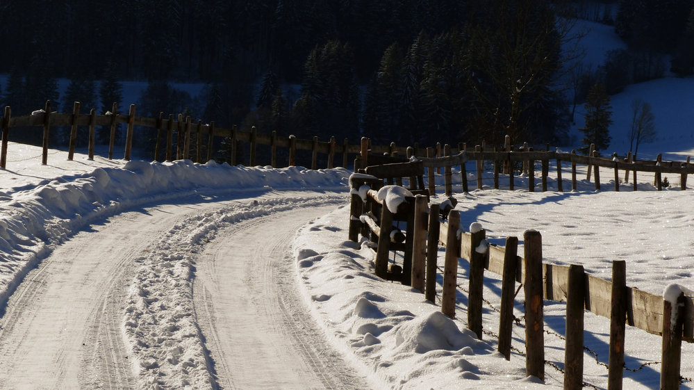 Burgruinen Frey und Eisenberg