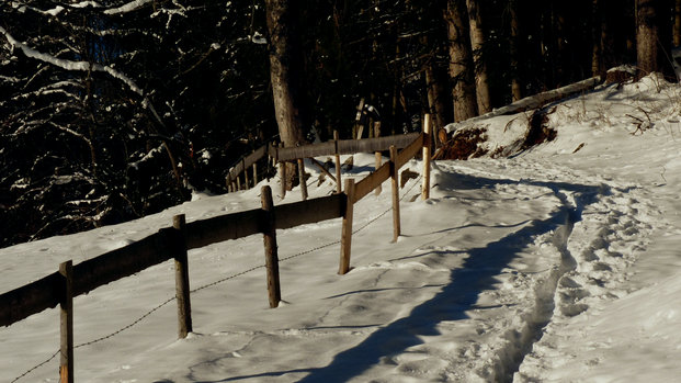 Burgruinen Frey und Eisenberg