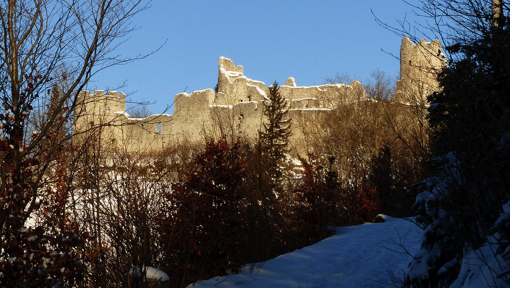 Burgruine Eisenberg